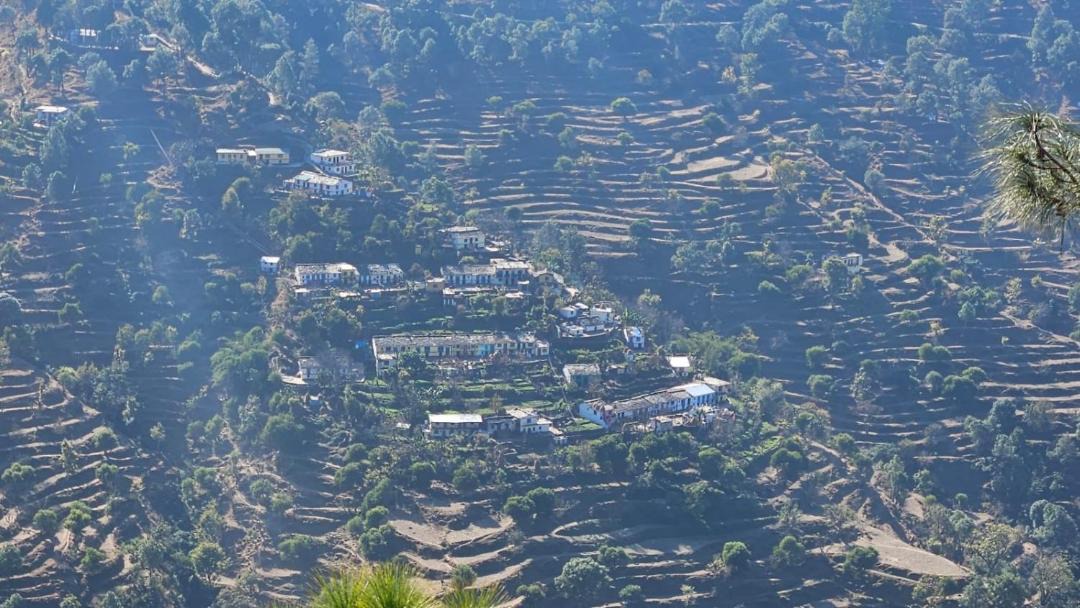 Photo of Buildings in Majkhali