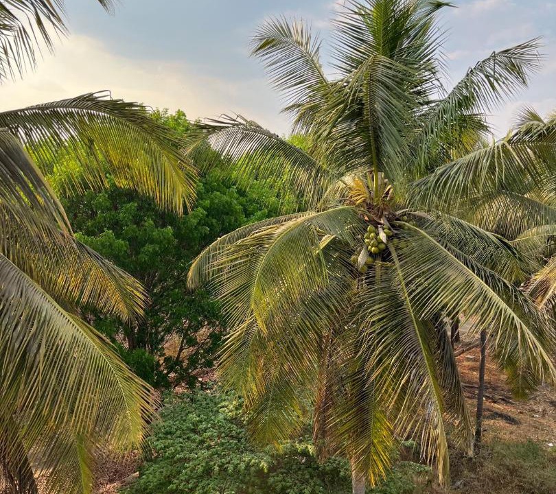 Photo of Others in Devanahalli