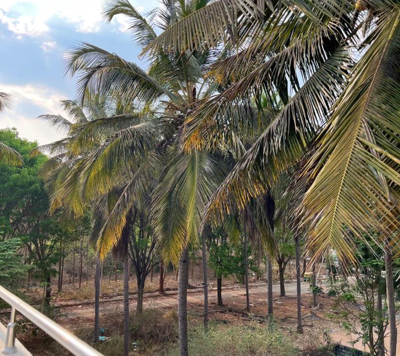 Photo of Others in Devanahalli
