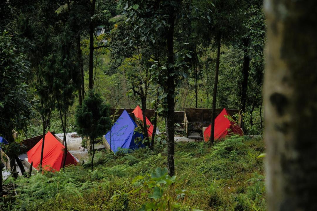 Photo of Others in Gangtok