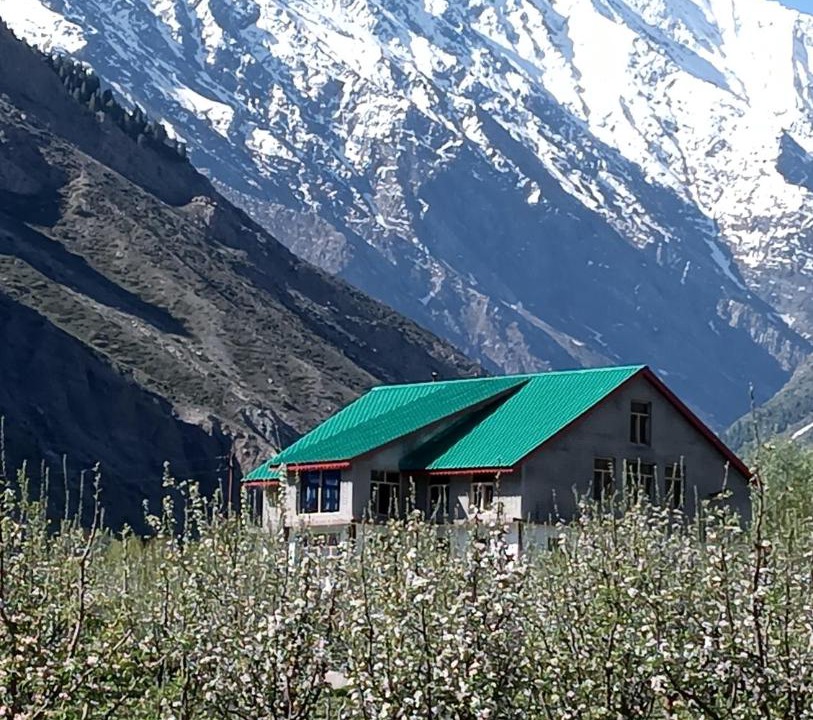 Photo of Others in Keylong