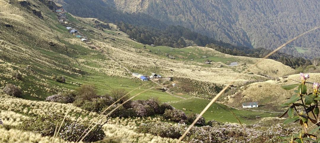 Photo of Others in Chamoli
