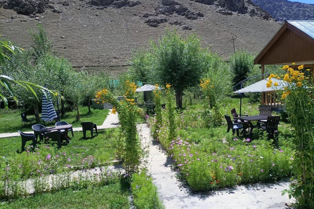 Photo of Others in Shargole