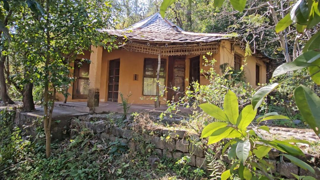Photo of Others in Dharamshala