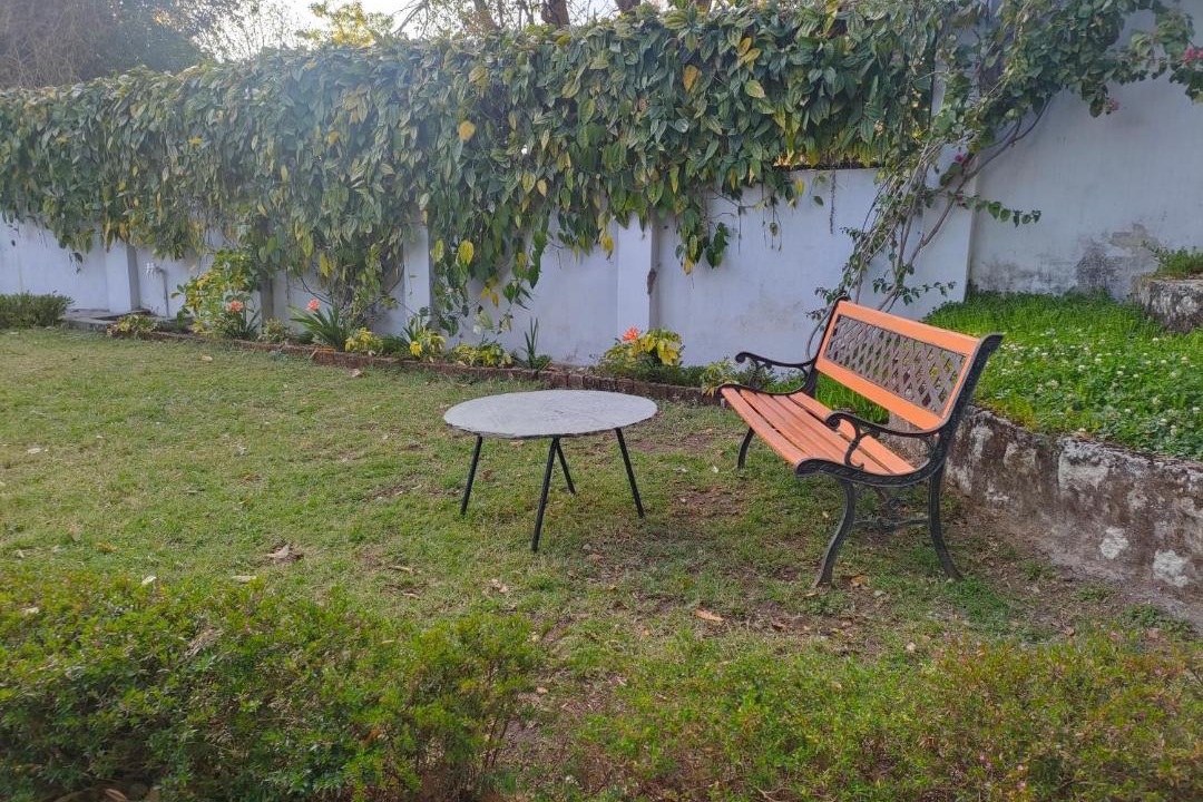 Photo of Others in Palampur