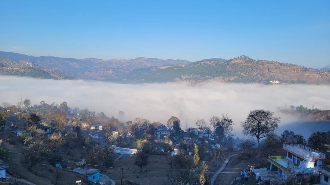 Photo of Others in Almora