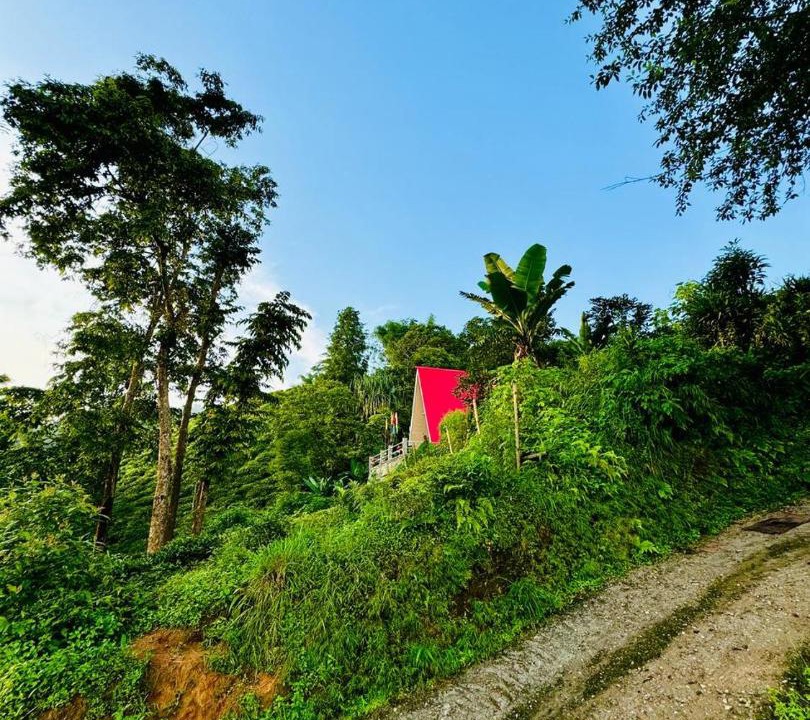 Photo of Others in Darjeeling