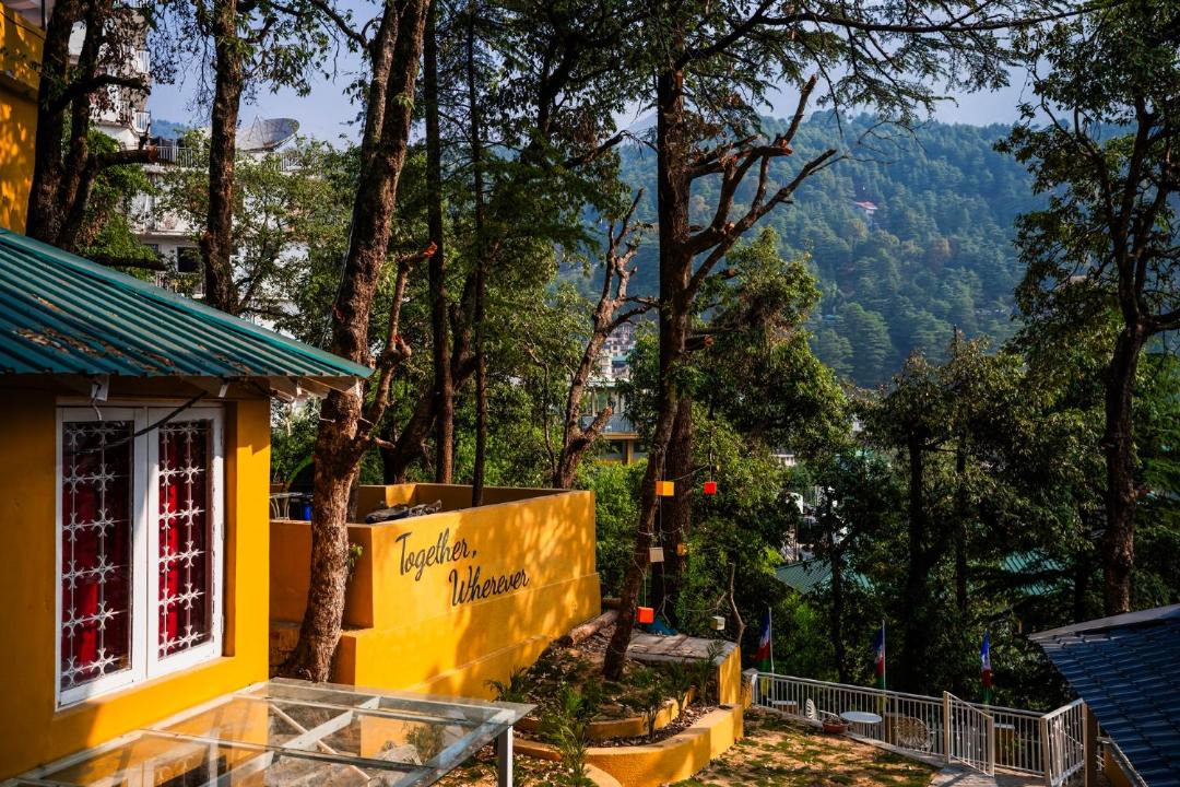 Photo of Others in Dharamshala