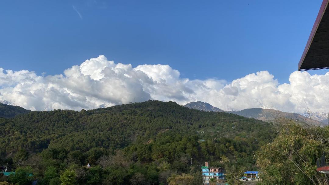 Photo of Others in Dharamshala