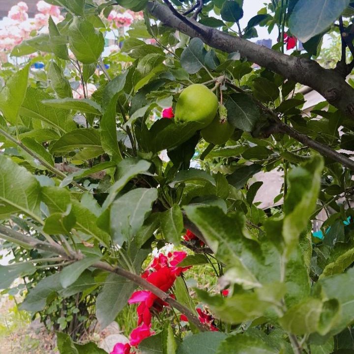 Photo of Outdoor in Khattalwada