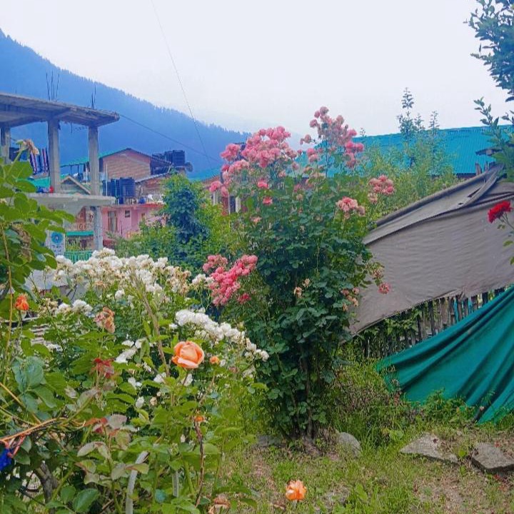 Photo of Outdoor in Khattalwada