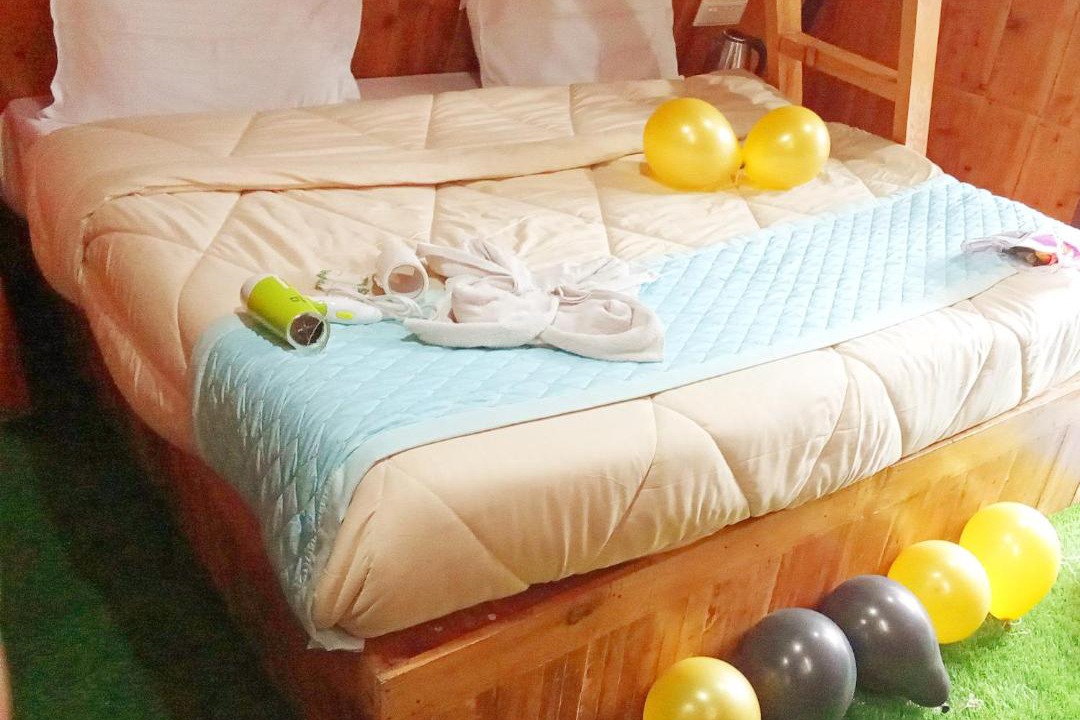 Photo of Bedroom in New Manali