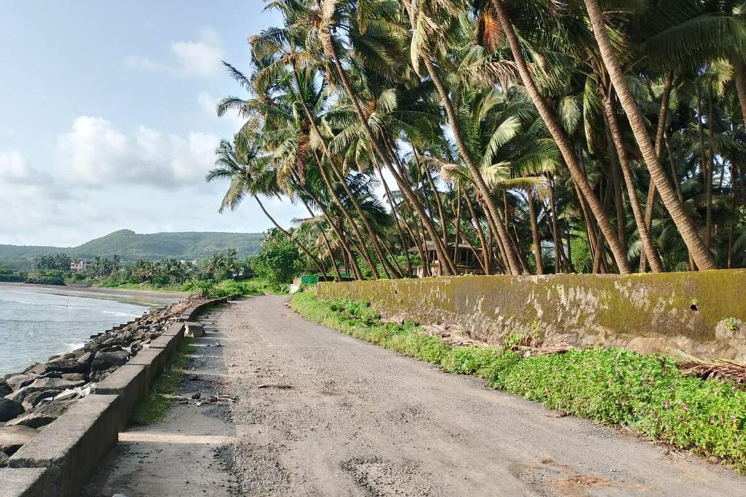 Photo of Others in Murud