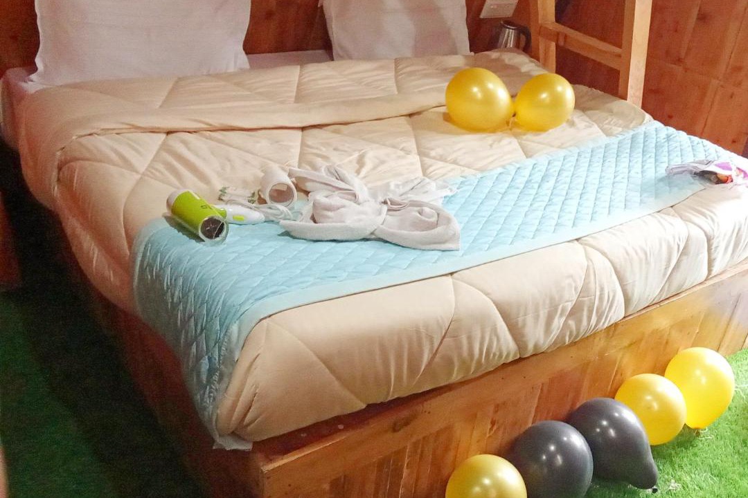 Photo of Bedroom in New Manali