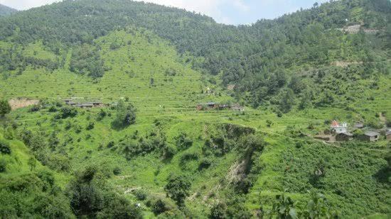 Photo of Others in Tehri