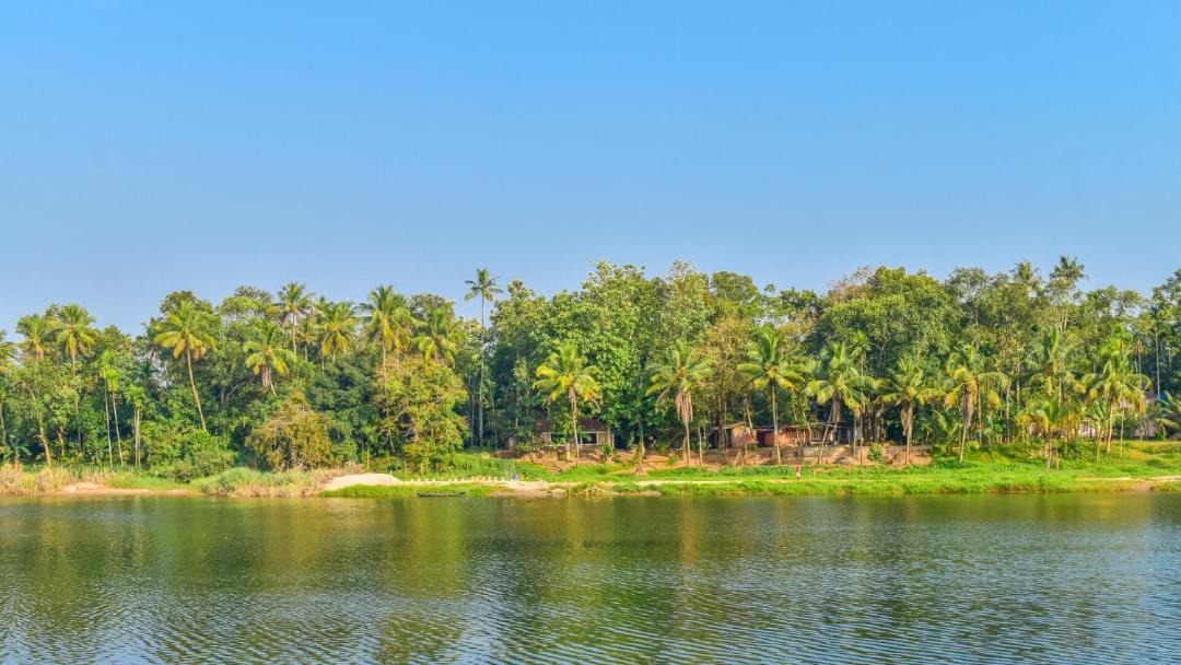 Photo of Others in Kanjiramattom