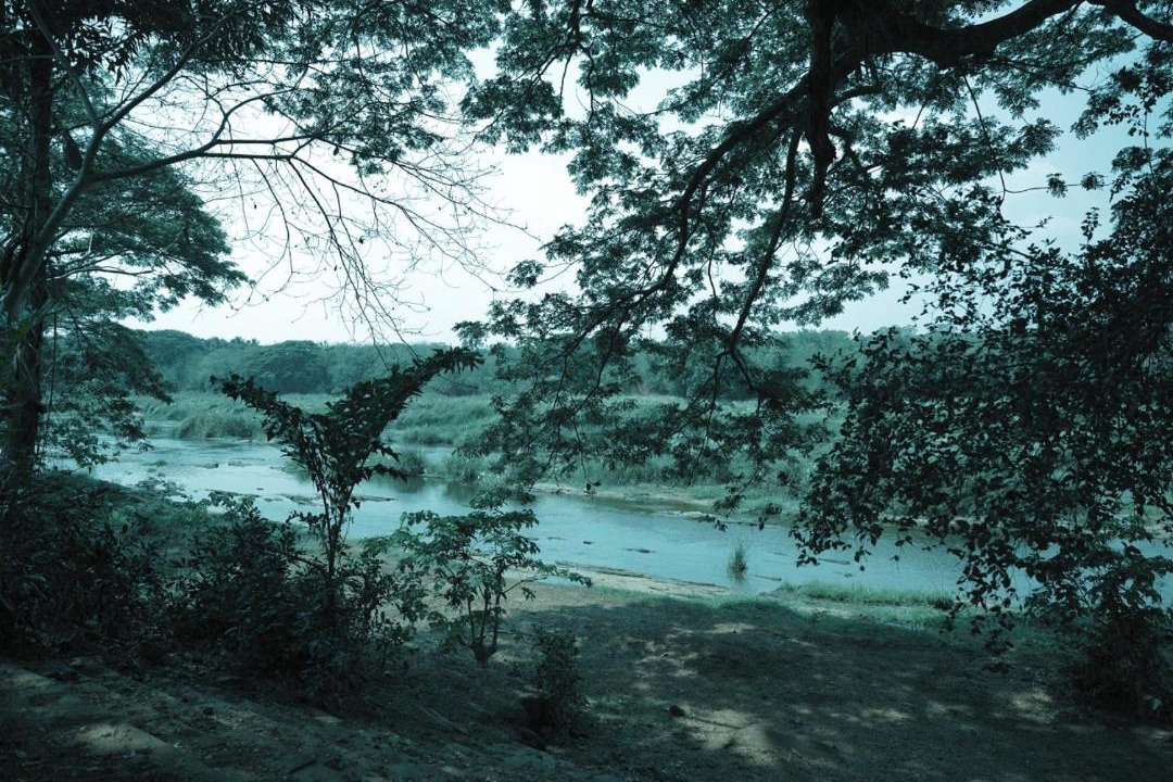 Photo of Others in Cherplassery