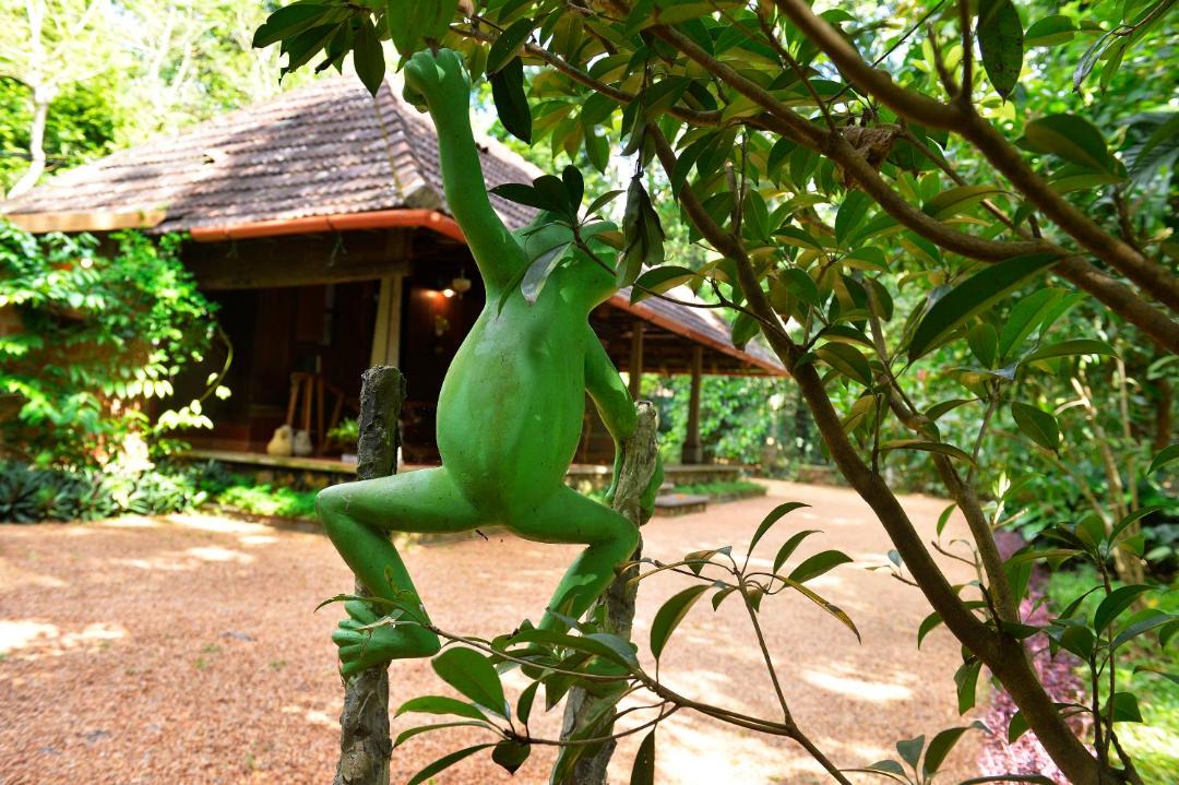 Photo of Others in Kanjirappally