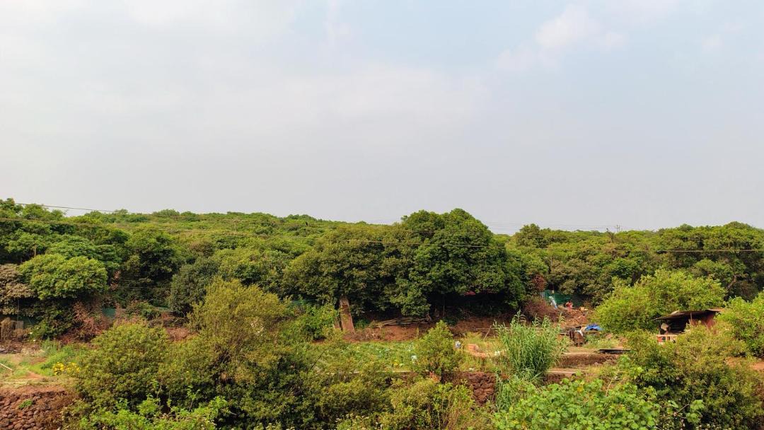 Photo of Others in Mahabaleshwar