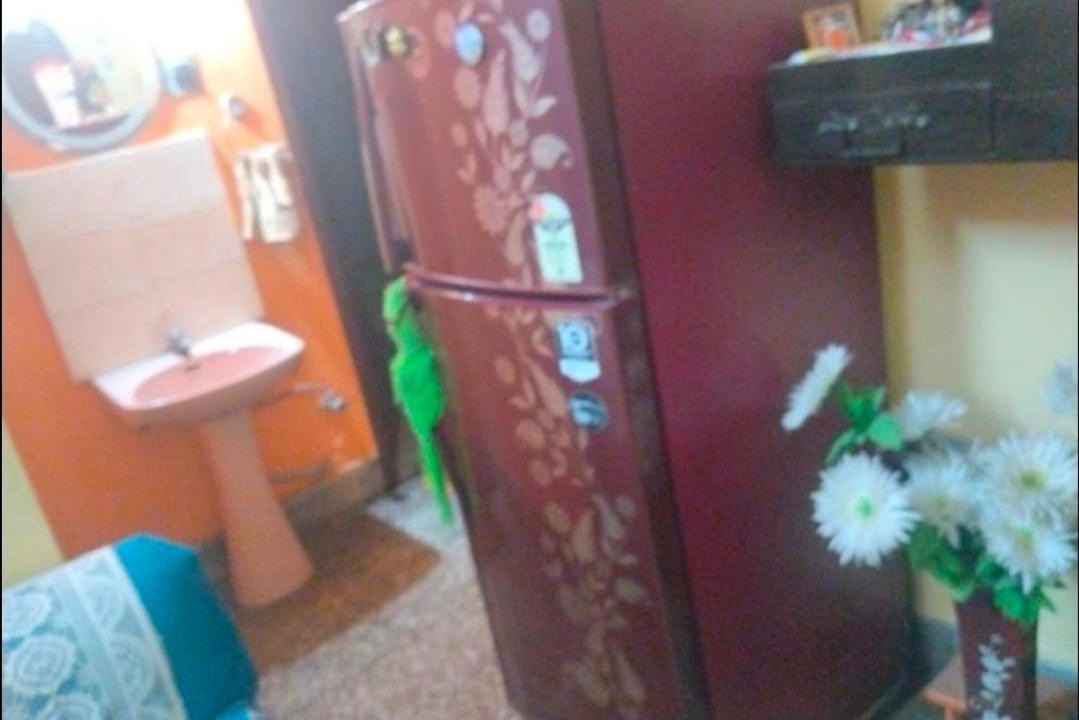 Photo of Bathroom in Garia