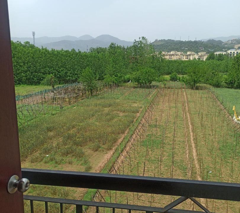 Photo of Others in Mandi