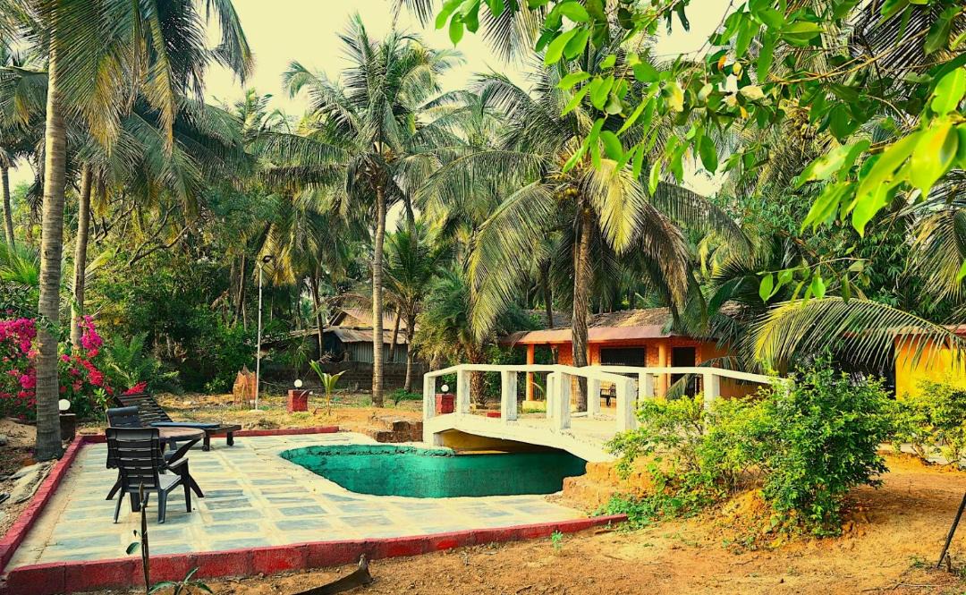 Photo of Others in Patnem