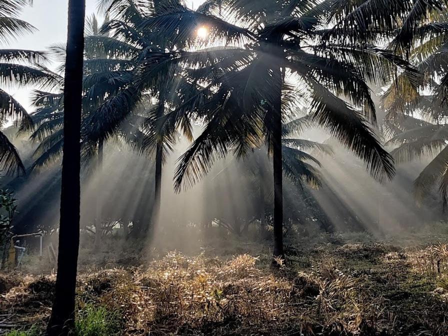 Photo of Others in Devanahalli
