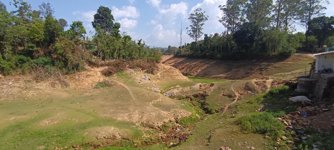 Photo of Others in Valparai