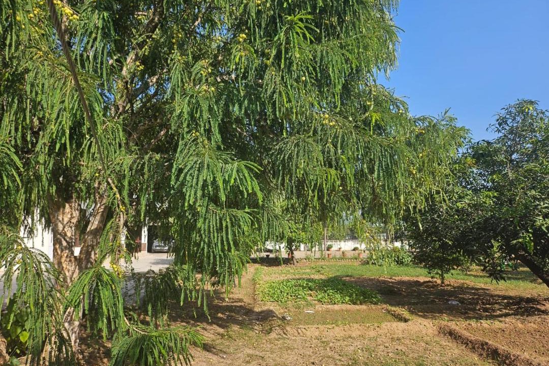 Photo of Outdoor in Kishangarh