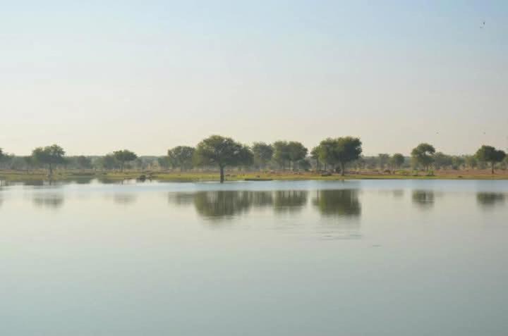 Photo of Others in Amar Sagar Pol