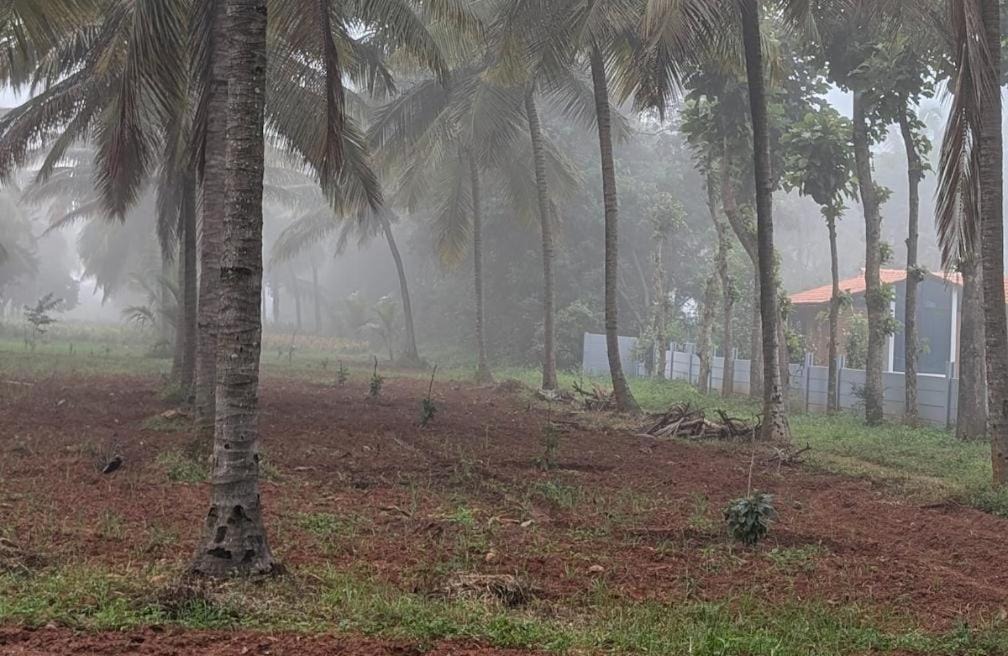 Photo of Others in Devanahalli