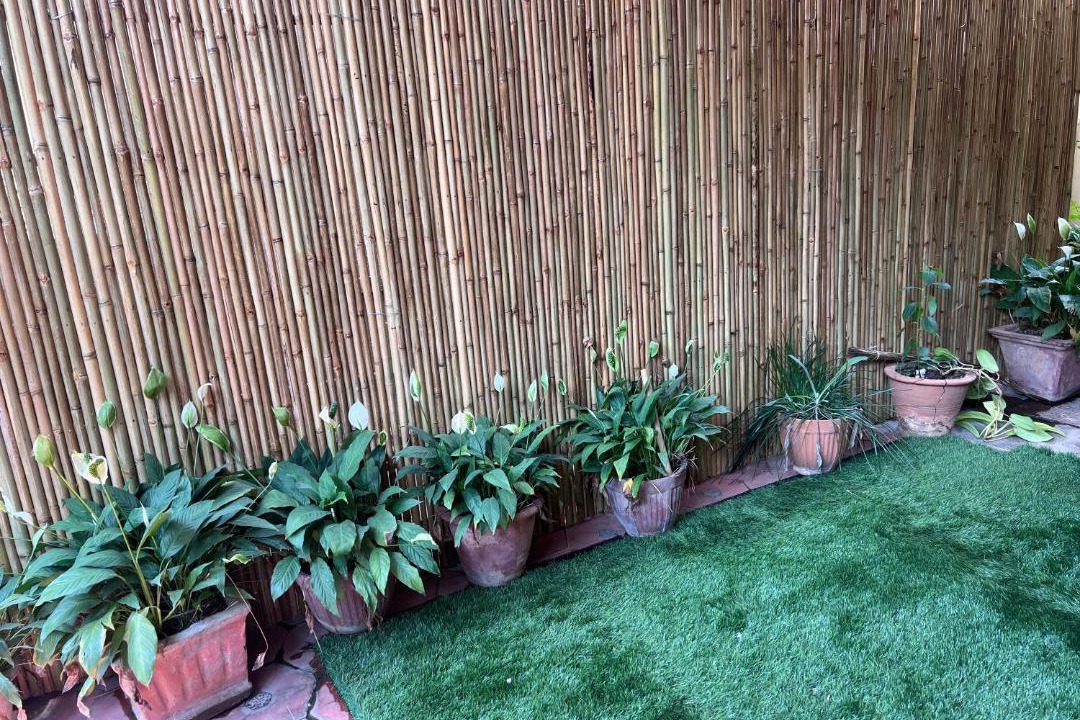 Photo of Others in Bengaluru