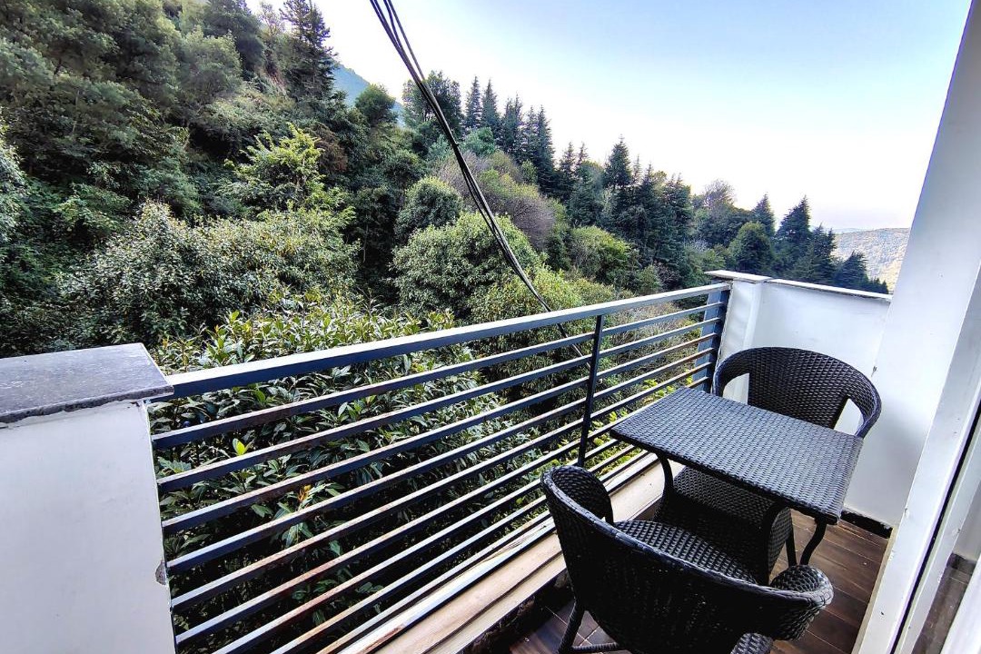 Photo of Patio Balcony in Chakrata