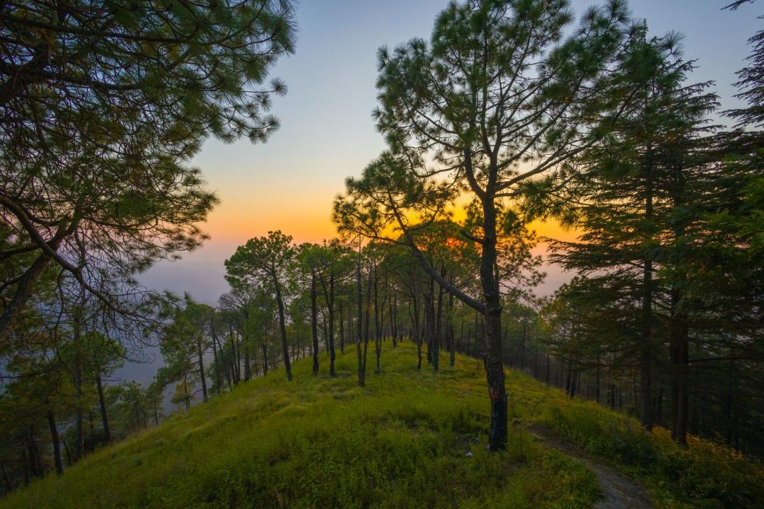 Photo of Others in Shimla