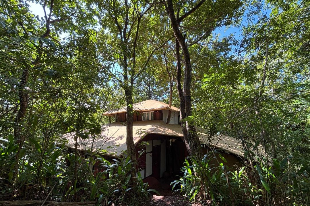 Photo of Others in Agonda