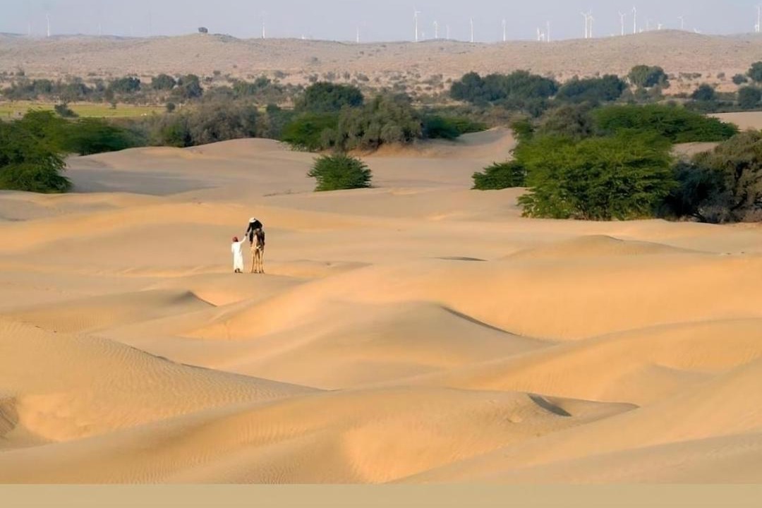 Photo of Human In Picture in Sam