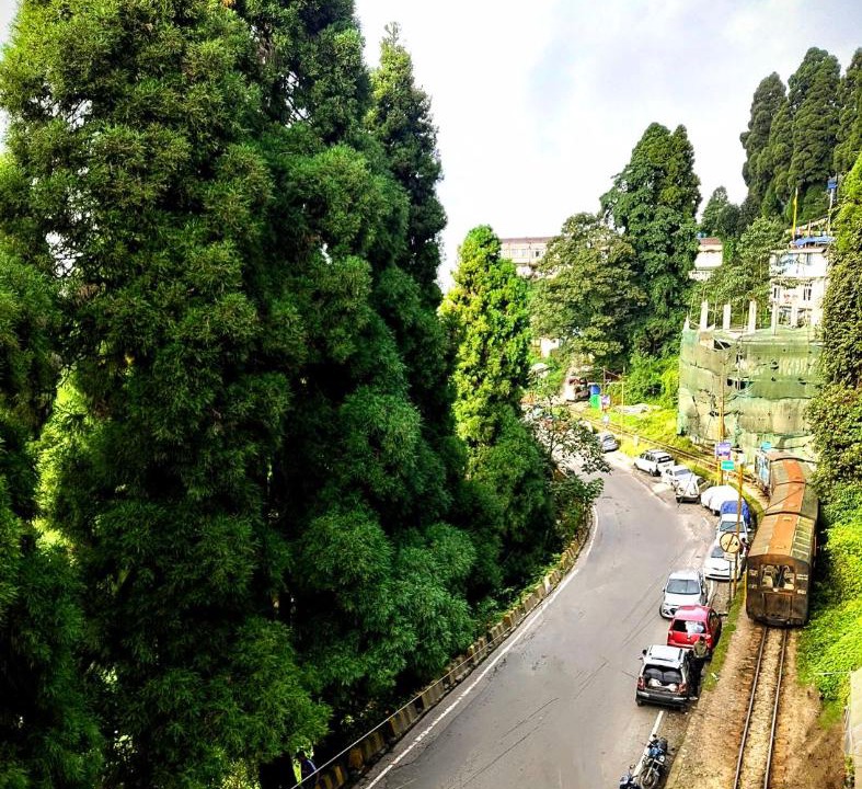 Photo of Others in Darjeeling