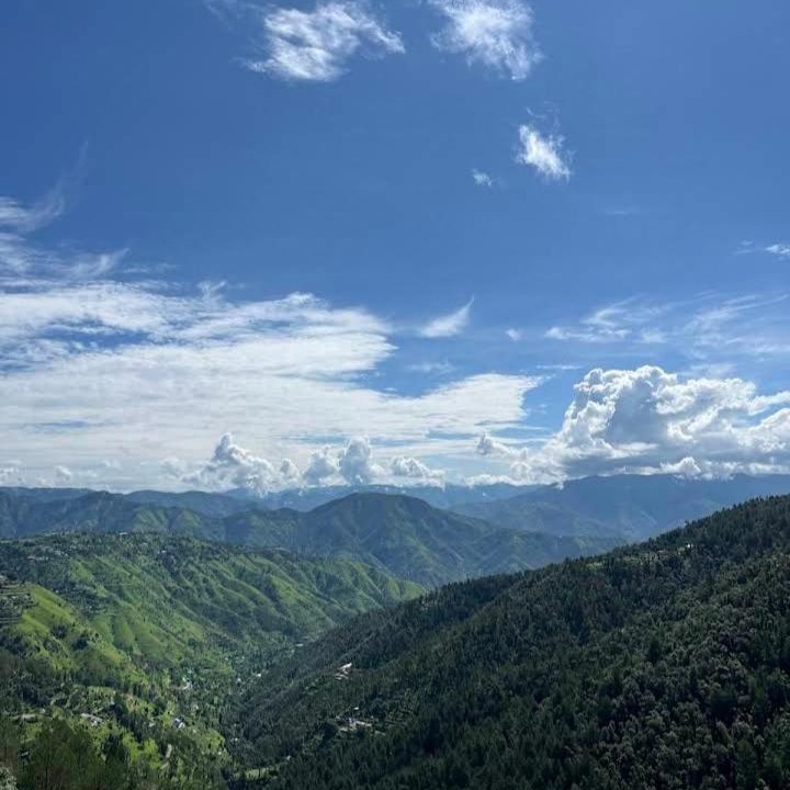Photo of Others in Chail