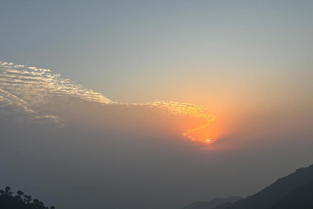 Photo of Others in Dharampur