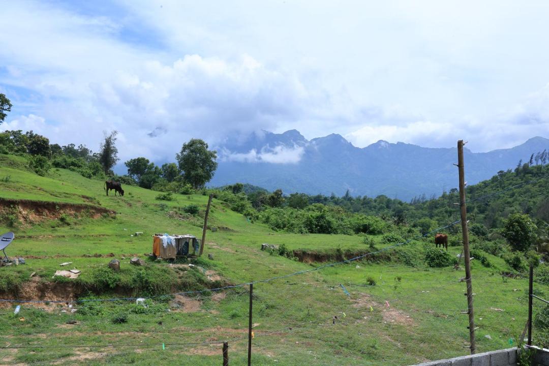 Photo of Others in Mannarkkad
