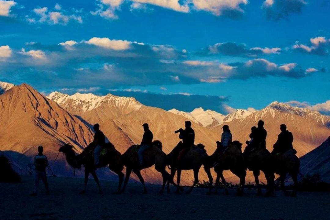 Photo of Others in Nubra Valley