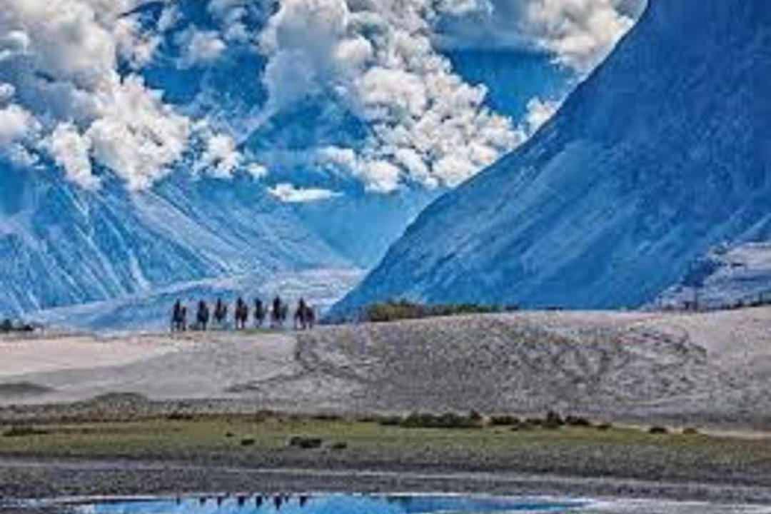 Photo of Others in Nubra Valley