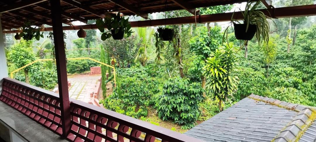 Photo of Others in Madikeri