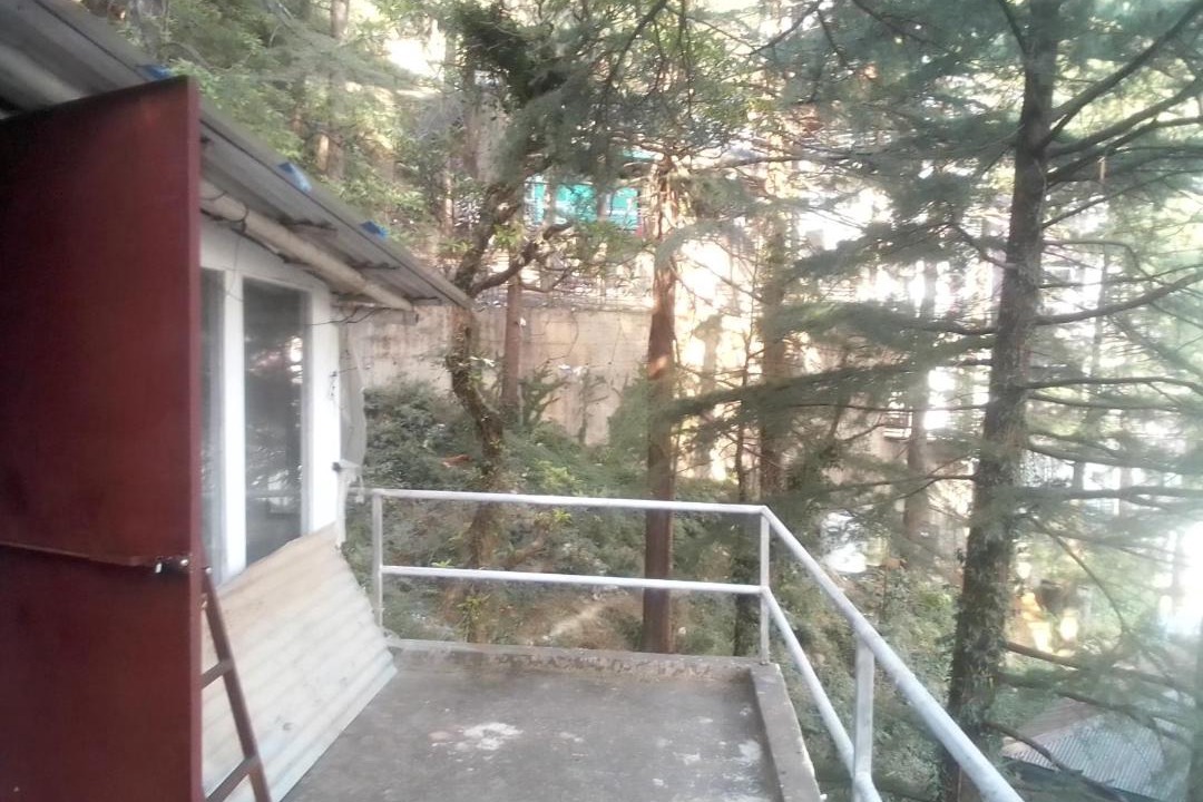 Photo of Others in McLeod Ganj
