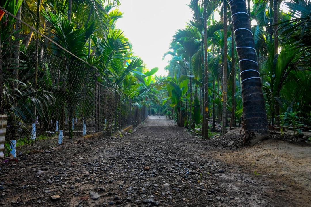 Photo of Others in Alibaug