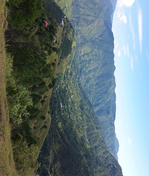 Photo of Others in Chail