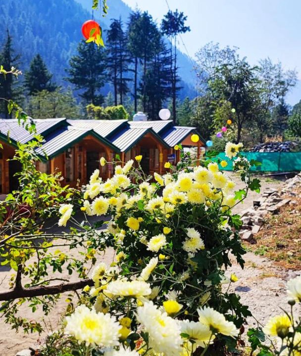 Photo of Others in Kasol