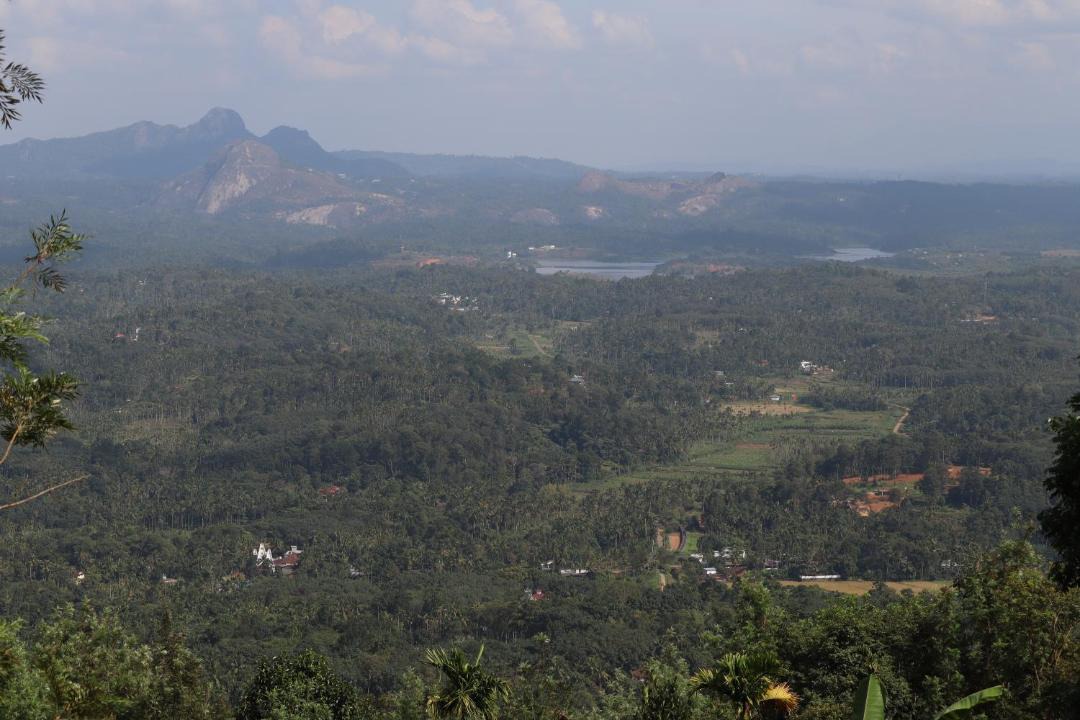 Photo of Others in Kalpetta