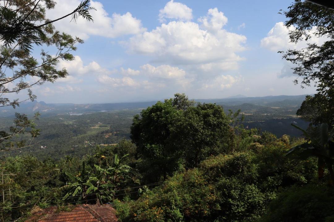 Photo of Others in Kalpetta