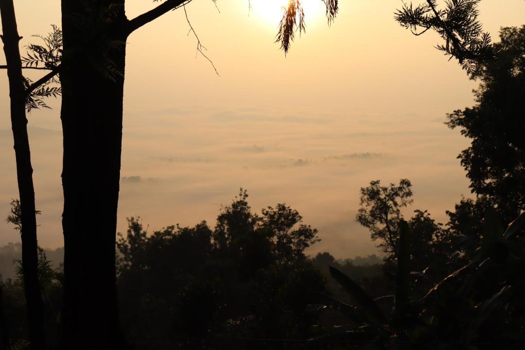Photo of Others in Kalpetta